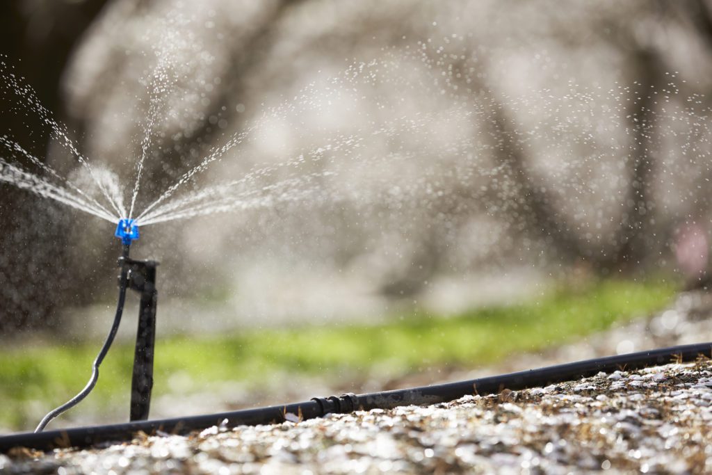 Nitrogen Calculator Optimizes N Use