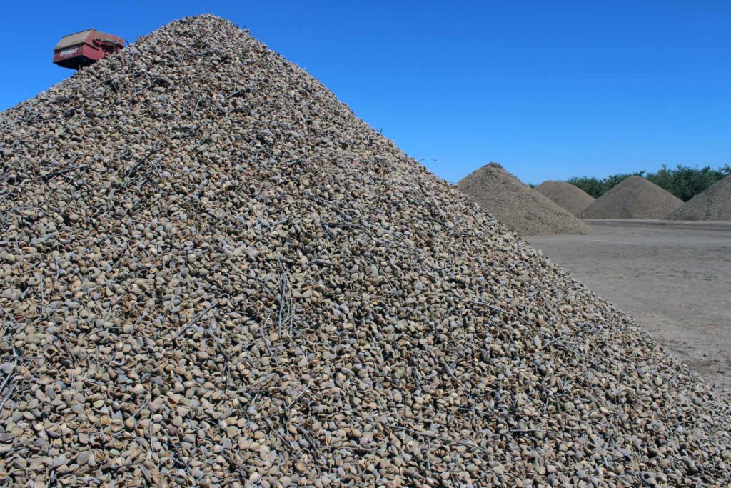 Almond ready to be processed
