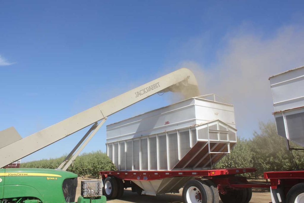 Almonds being loaded for transport