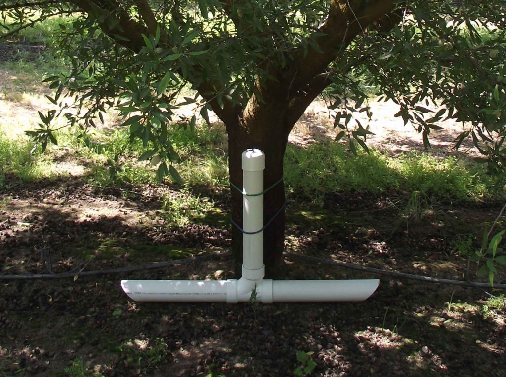 An IPM Approach to Vertebrate Pests