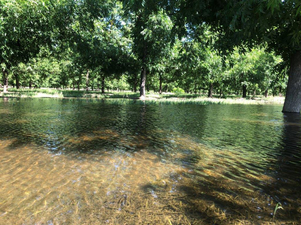 Water Recharge Research Shows Potential