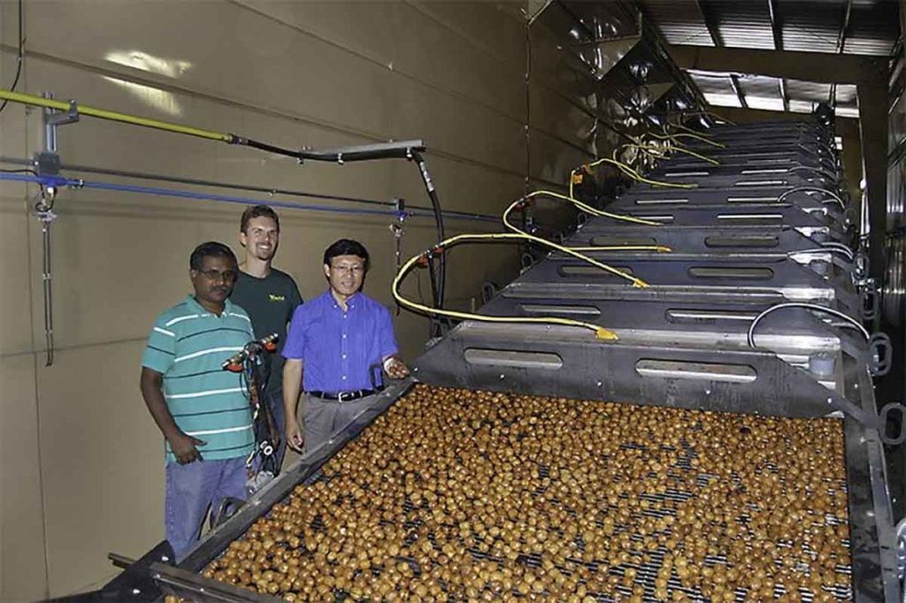 Infrared Drying Technology Developing