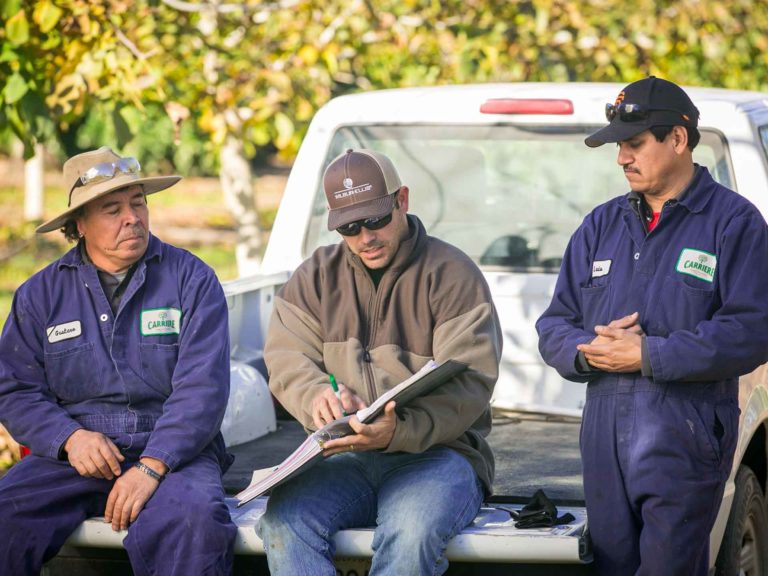 Cal/OSHA Enforcement Trends in Agriculture