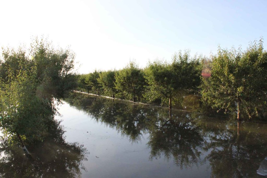 Is Your Almond Orchard a Candidate for Water Recharge