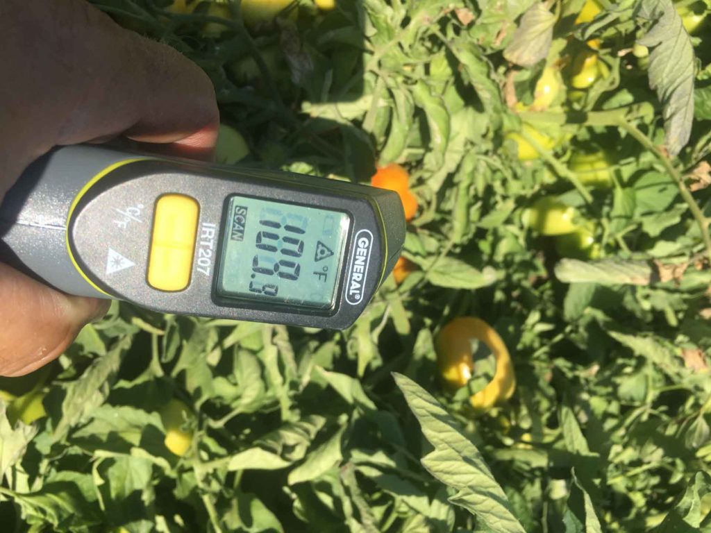 Heat Stress: Don’t get burned