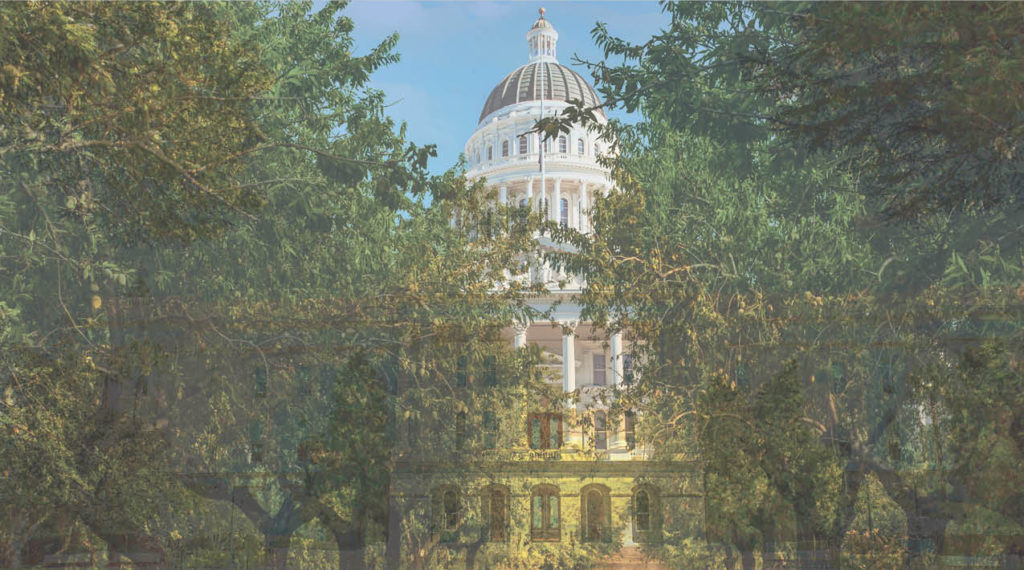 California Legislative Wrap-Up for 2019