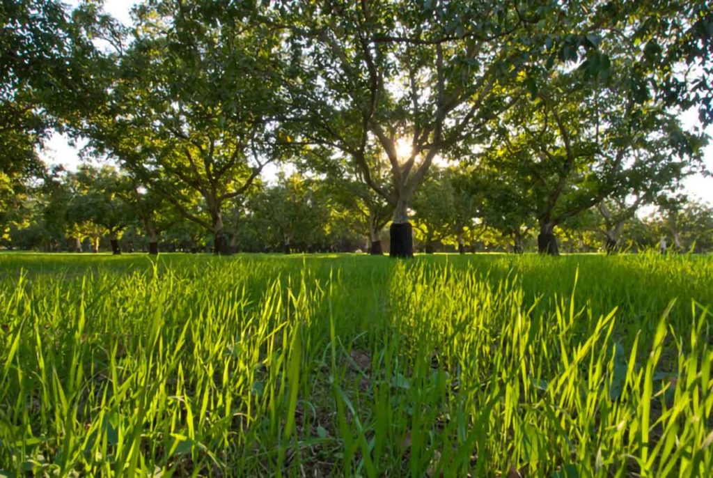 FSMA Produce Safety Inspections: What to Expect