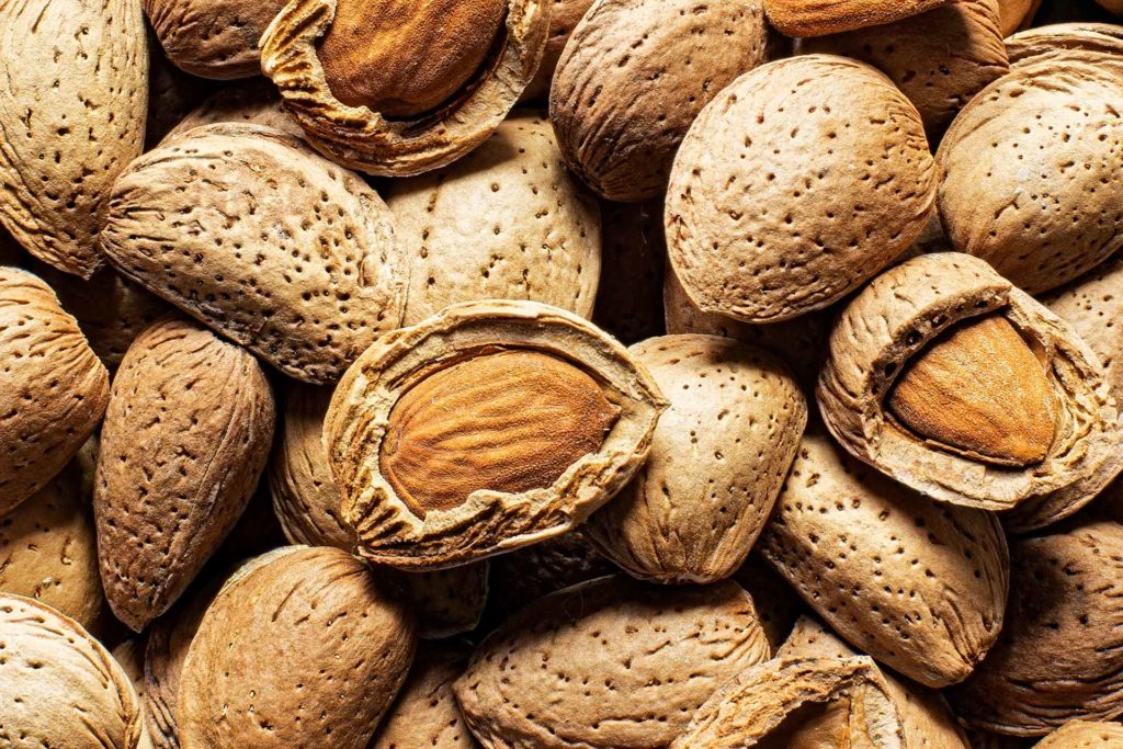 Want to Thrive Postharvest? Make a Plan