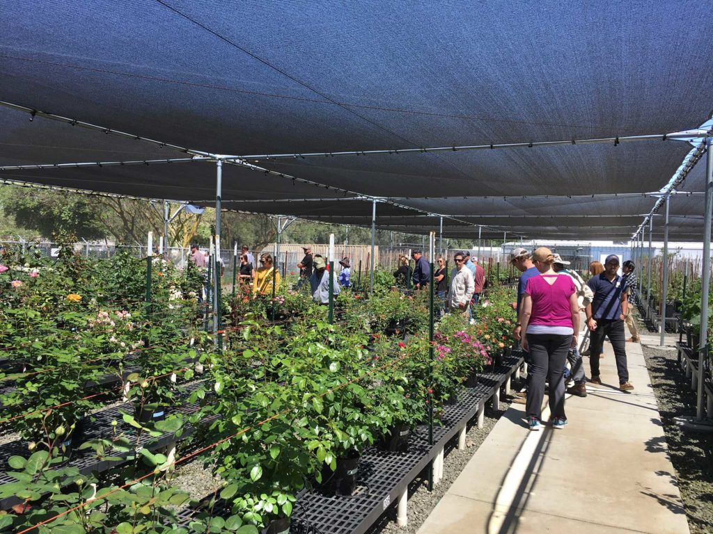 UC Davis 2020 Short Course: Principles of Fruit and Nut Tree Growth, Cropping, and Management