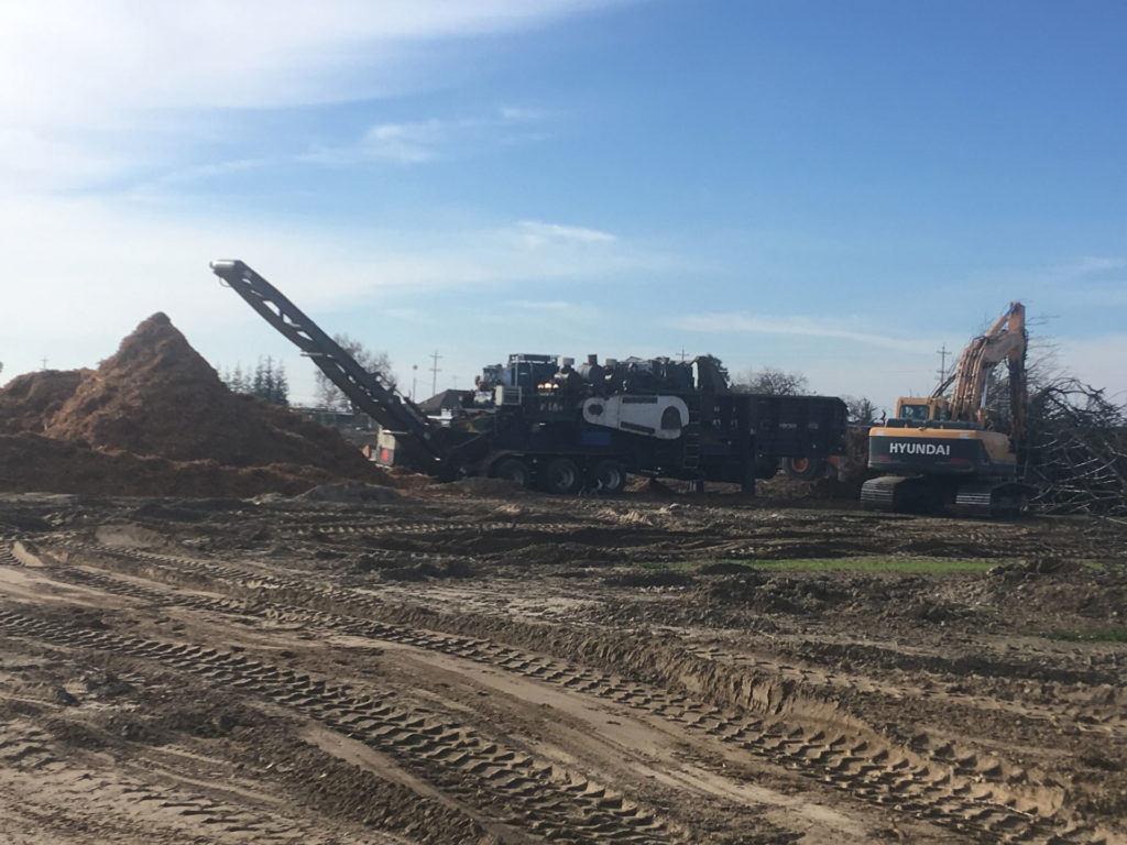 Whole Orchard Recycling, a Grower’s Perspective