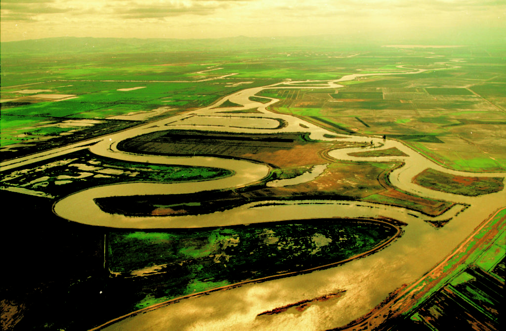 Clearing the Water on the Biological Opinions
