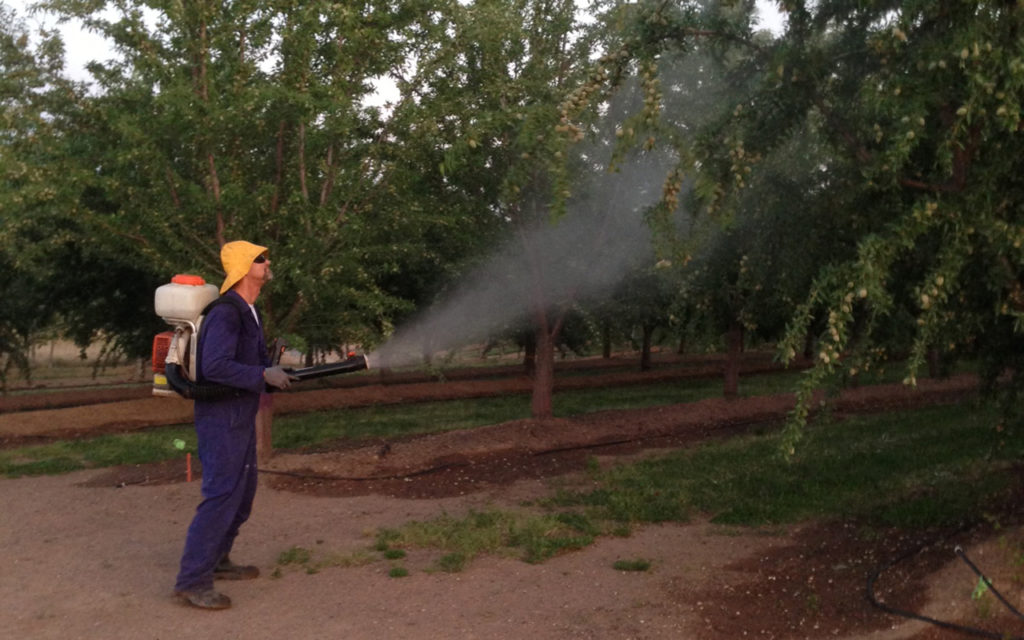 Farm Advisor Spotlight: Franz Niederholzer