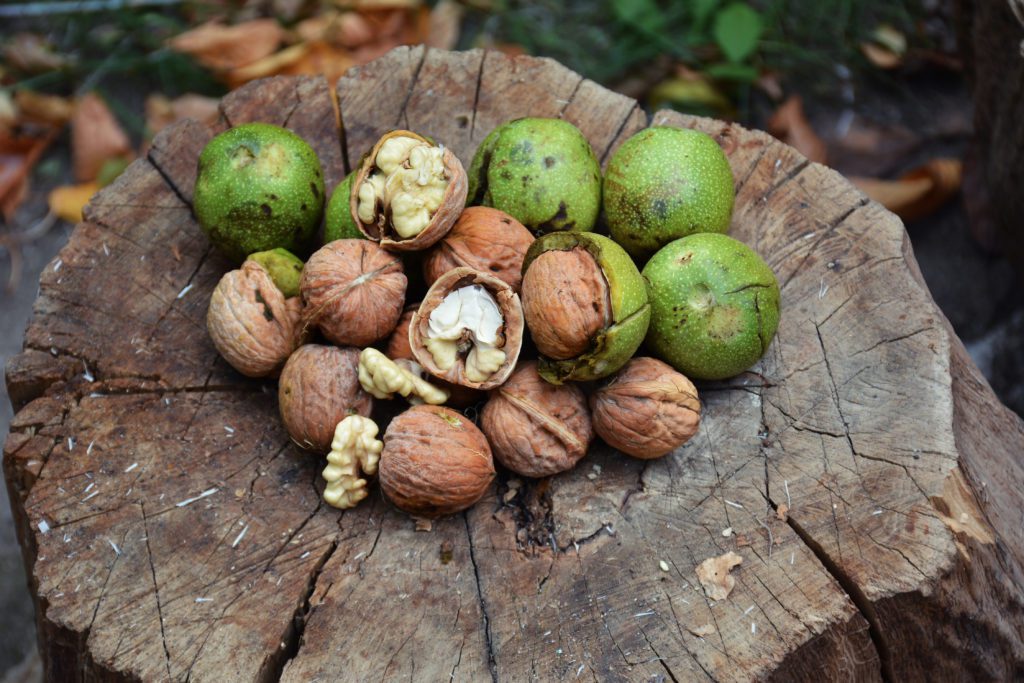 Organic Walnuts