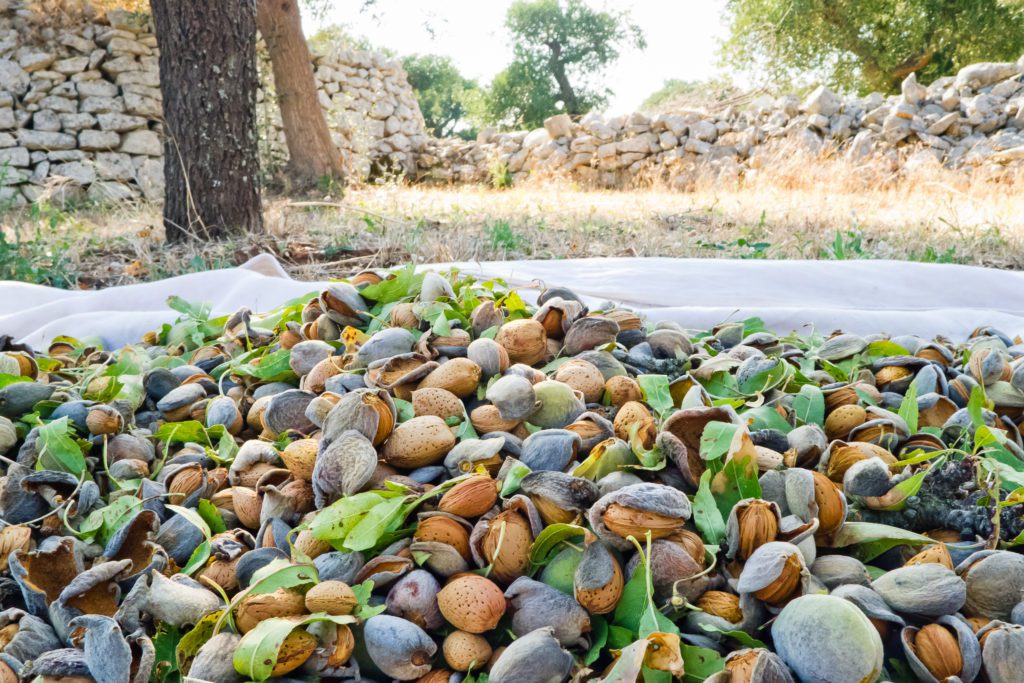 The Future of Off-Ground Harvest