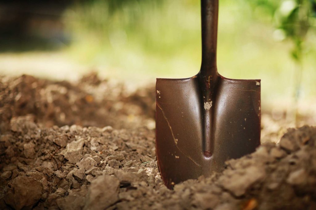 Shake the Rust Off That Shovel