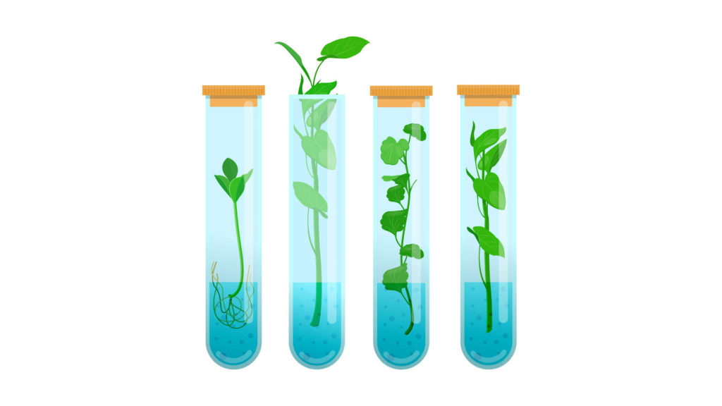 The Ins and Outs of Tissue Testing