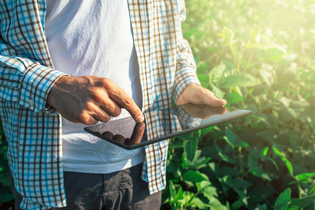 The Missing Link in Orchard Tech: Centralizing Field Data for Growers and Agronomists