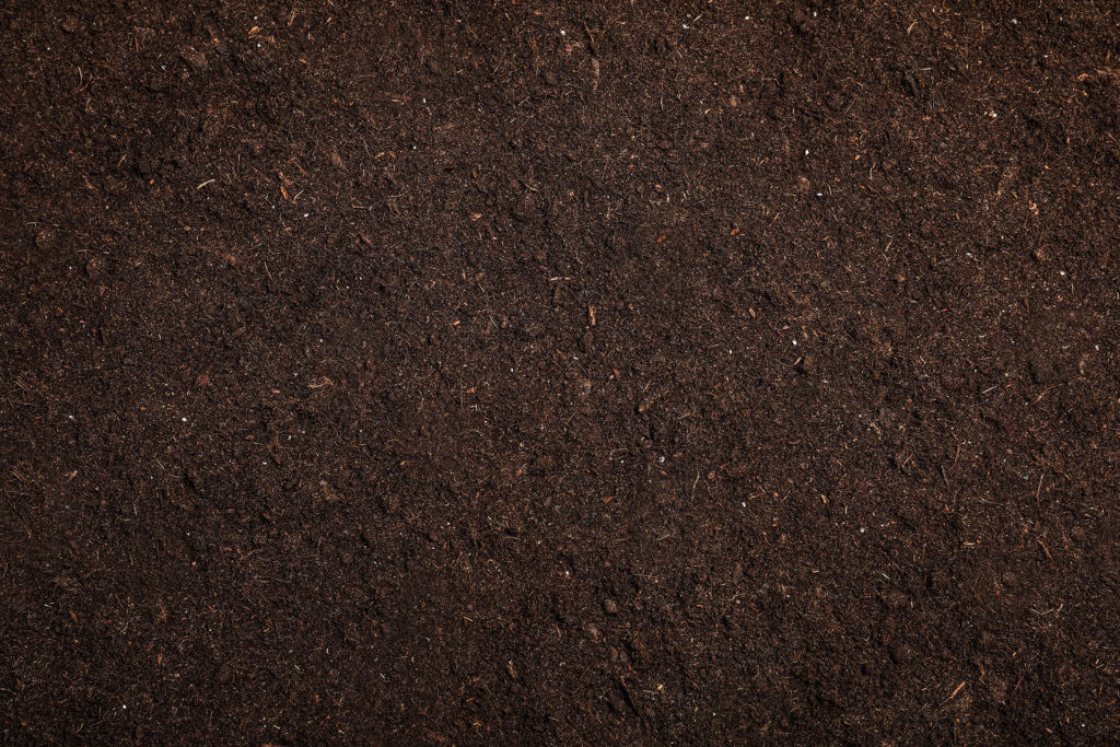 The Dirt on Soil