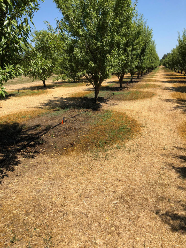 Avoiding Post-Harvest Stress