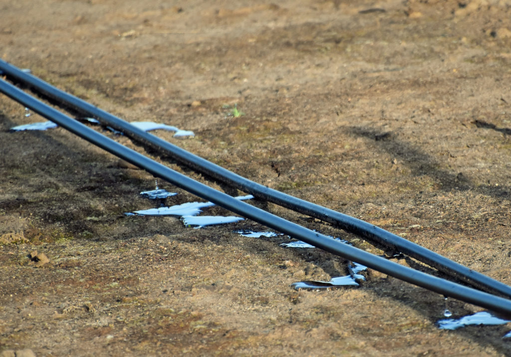 The “Four Rs” for Nitrogen Efficiency