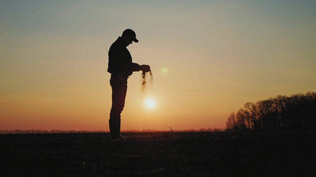 Cal OSHA Passes Night Work in Agriculture Standard
