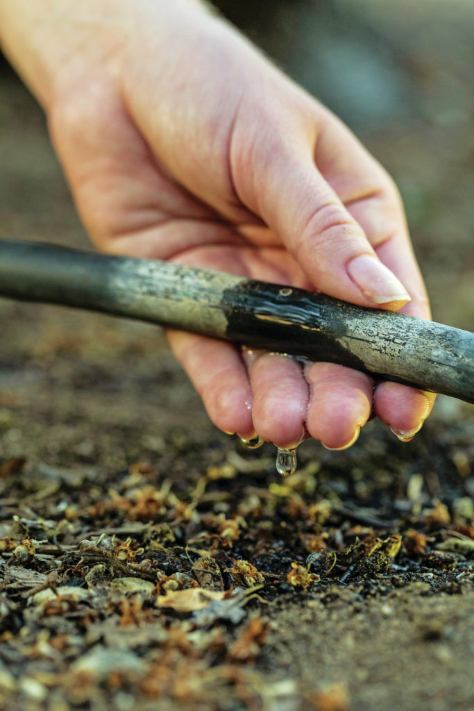 Almond Sustainability Supply Chain Program