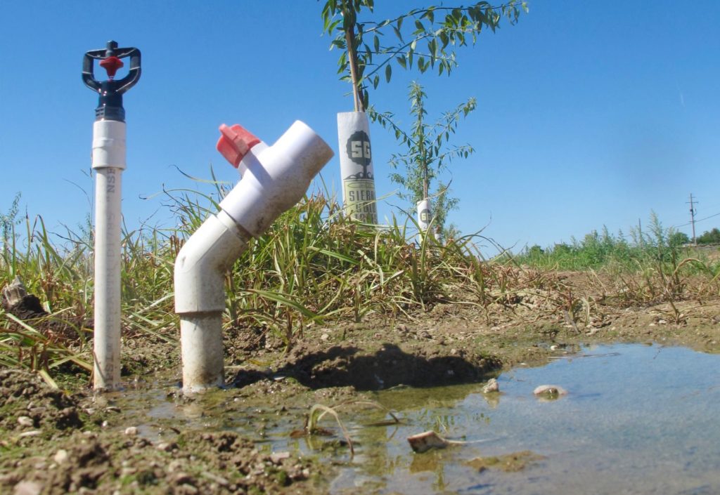 Irrigation in Nut Crops using Evapotranspiration