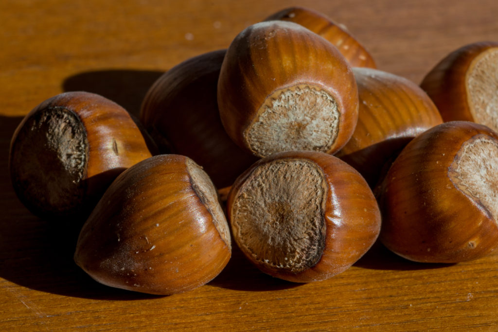State of the Northwest Hazelnut Industry