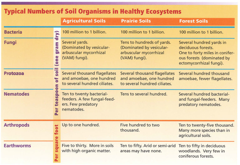 Soil Inoculants and a Healthy Orchard Ecosystem