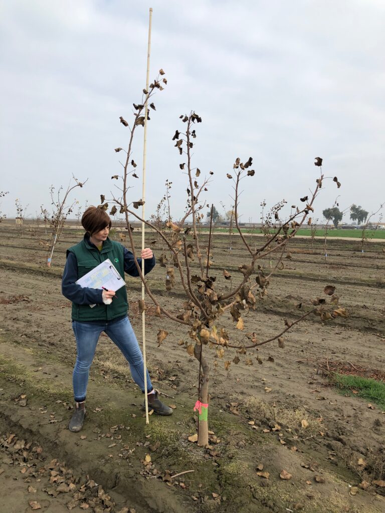 Farm Advisor Profile: Elizabeth Fichtner