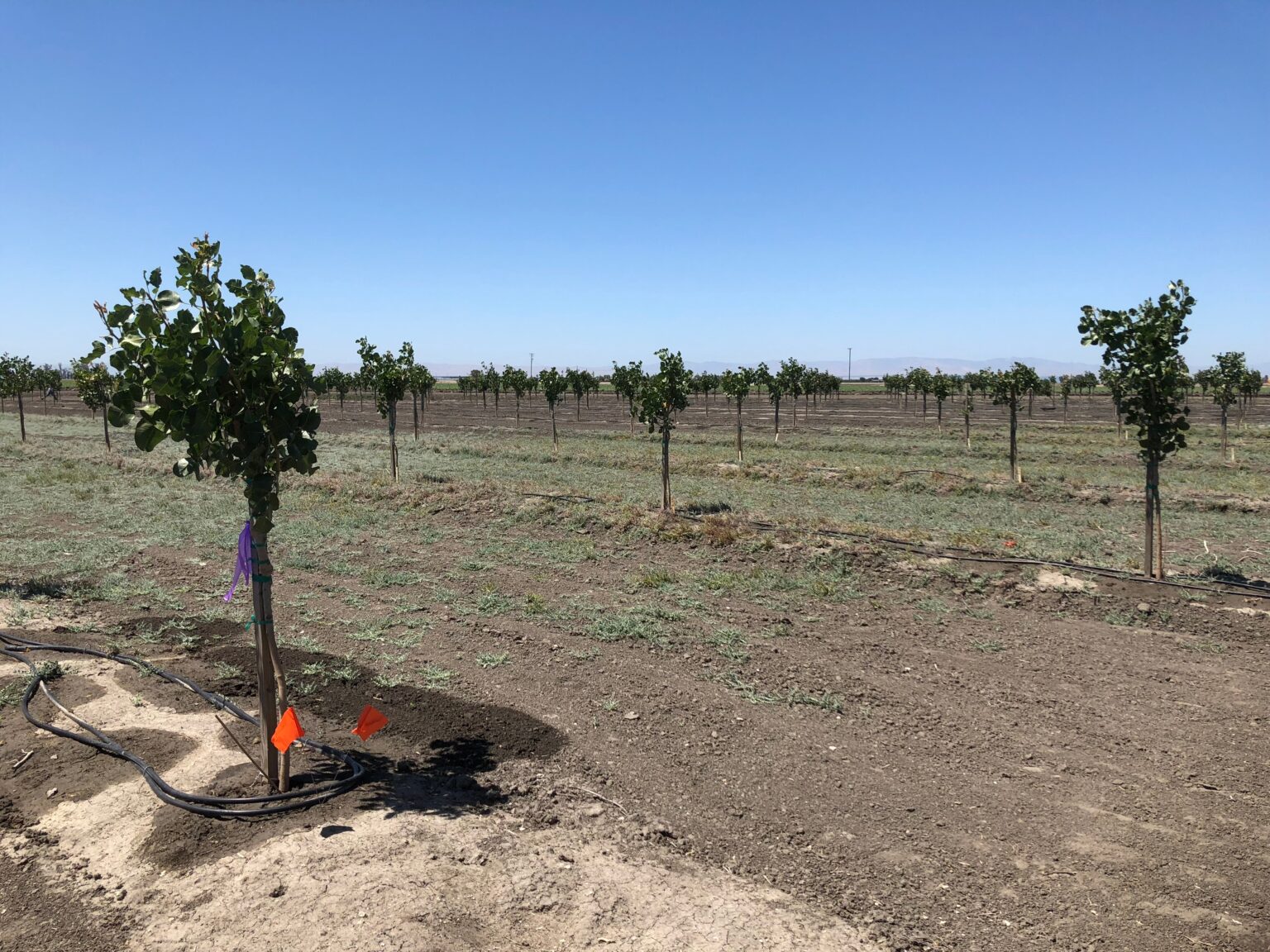 ag source magazine locations in lemoore ca ag source magazine locations in lemoore ca