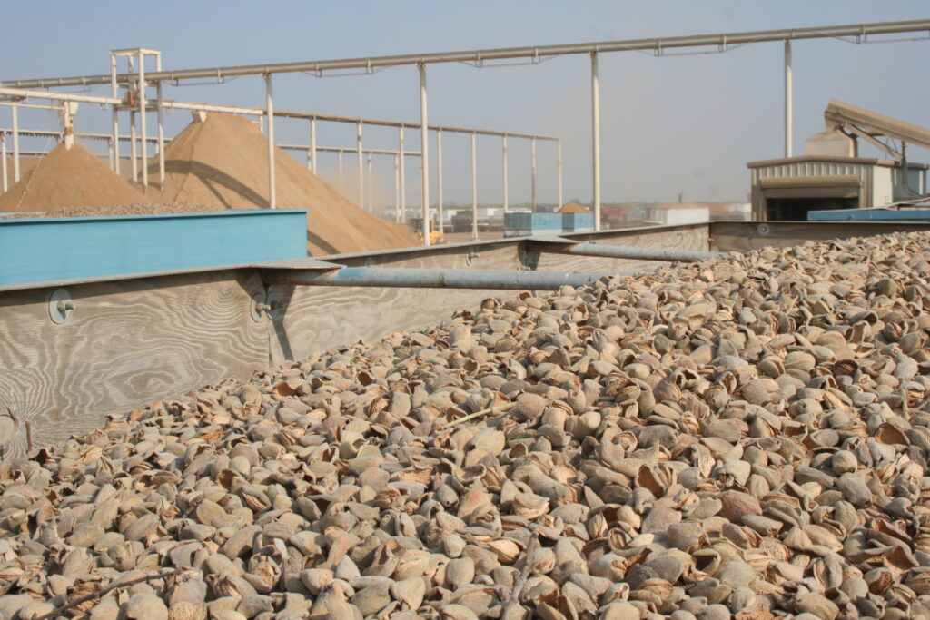 Almond Prices Remain Under Pressure, But is There an Upside?