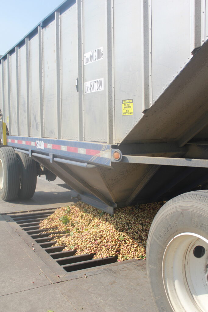 Pistachio Theft at Setton Pistachio
