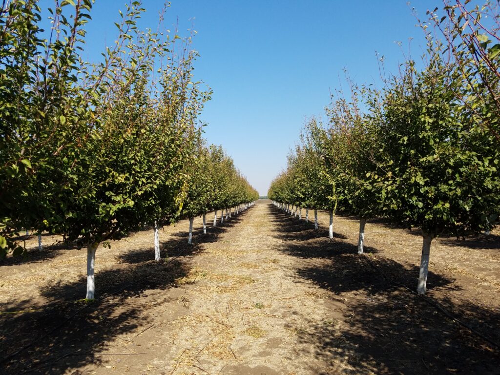 Information Resources to Make an Irrigation Plan for Next Year