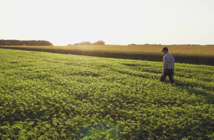Why You Should Choose a Certified Crop Advisor