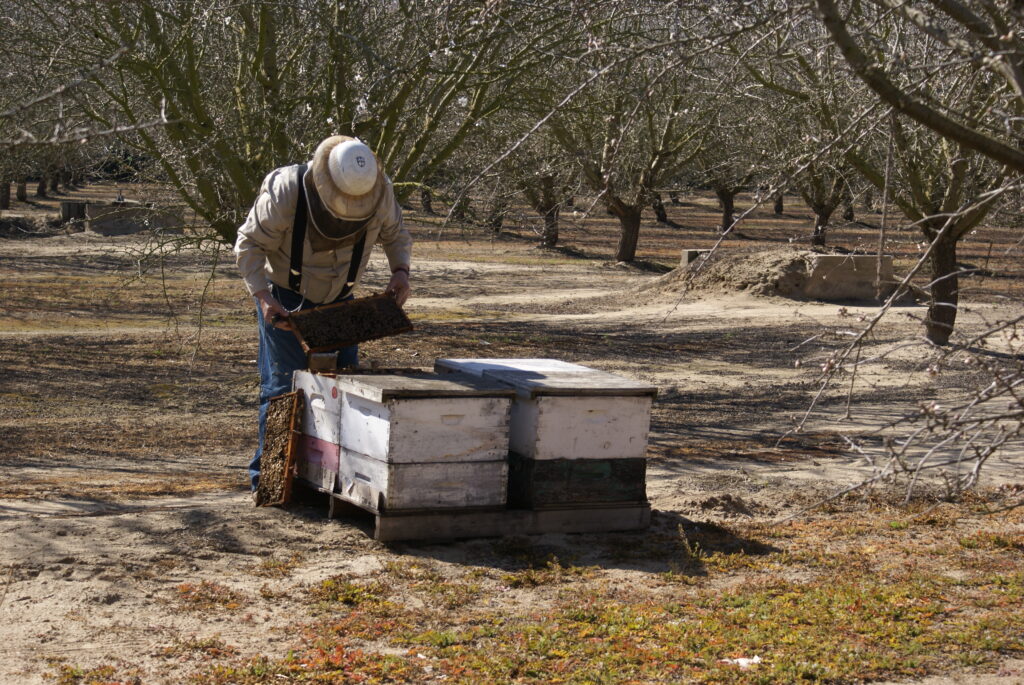 Maximizing Your Pollinator Dollars