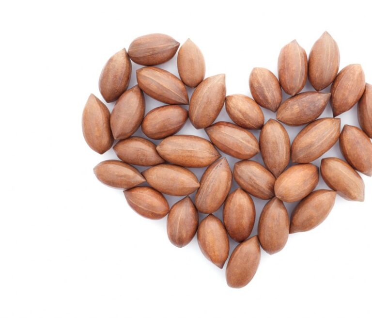 American Pecans Certified with American Heart Association’s “Heart-Check Mark”