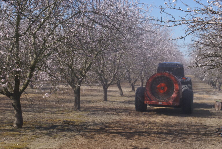 Pesticide Use During Almond Bloom