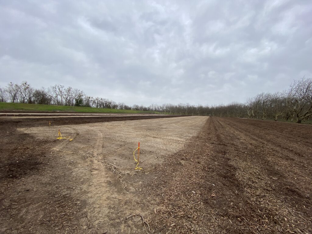 New Research on Whole-Orchard Recycling in Walnuts