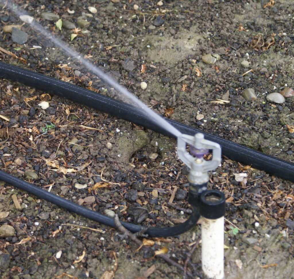 Top 5 Things an Almond Grower Wants to See in April