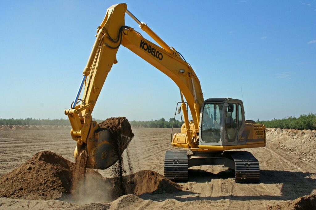 Almond Growers Consider Multiple Factors in Replanting Decisions