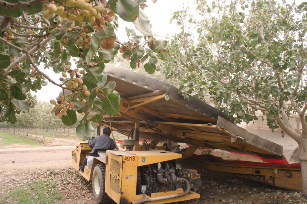 California’s Ag and Food Industry has Borne the Brunt of the Trade War