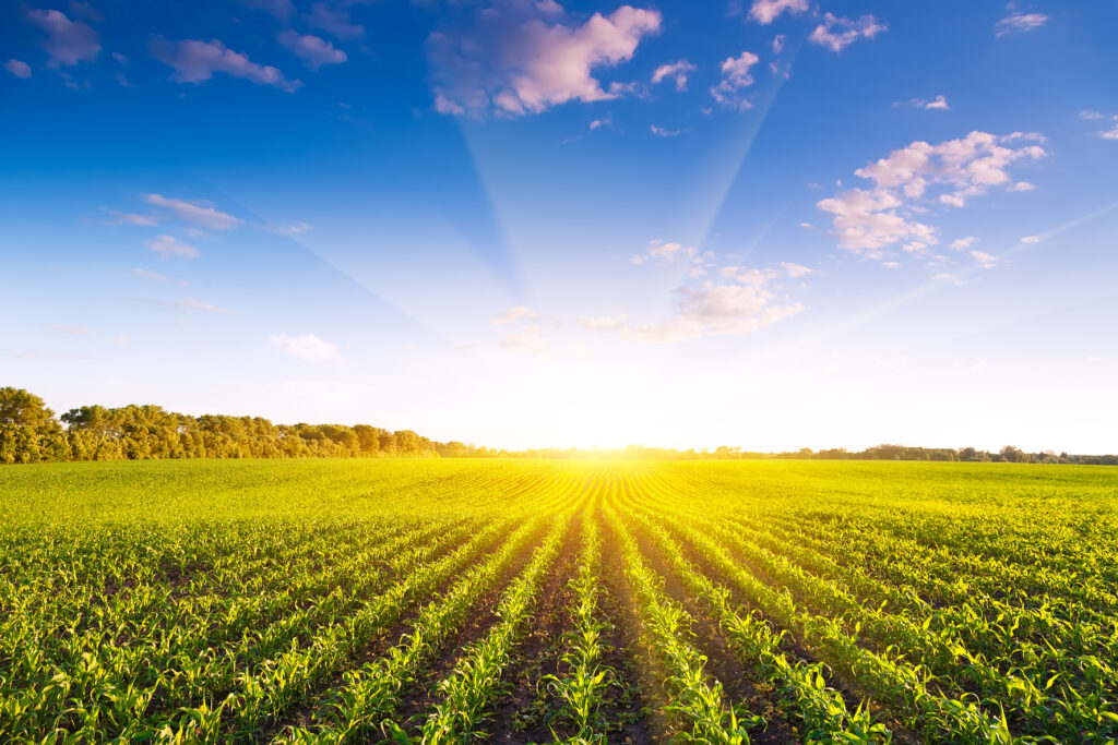Implementing Your New Season Safety Resolutions