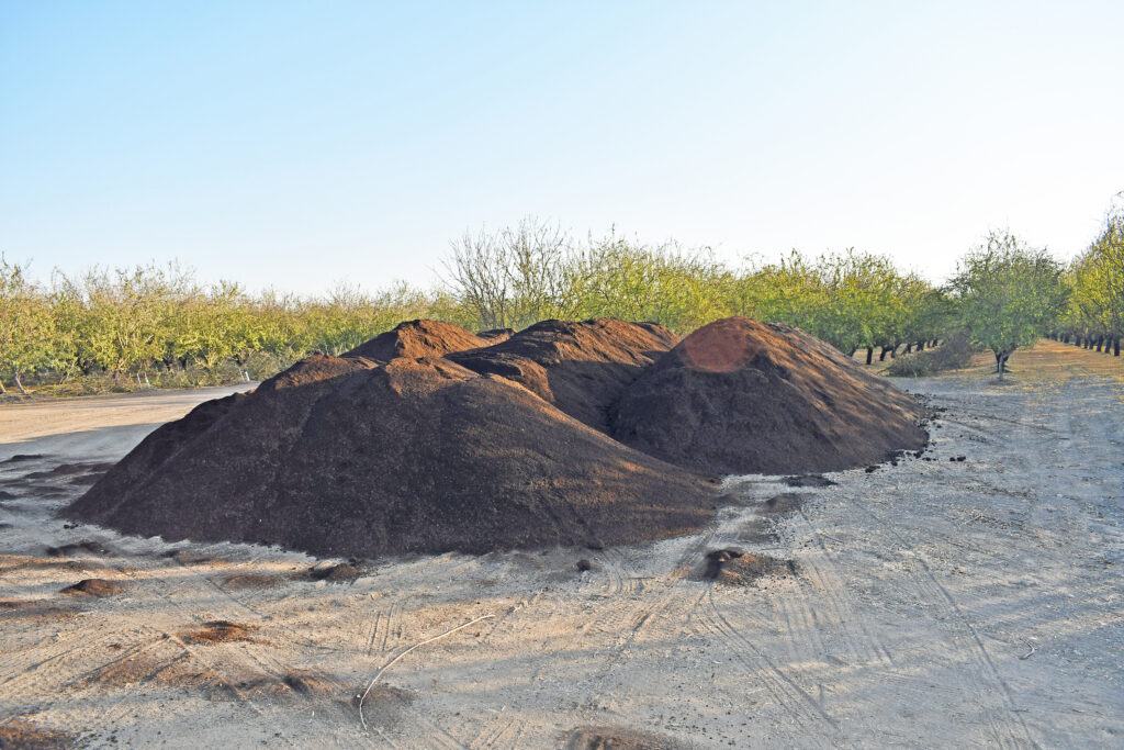 California Almonds Set to Enter Carbon Market