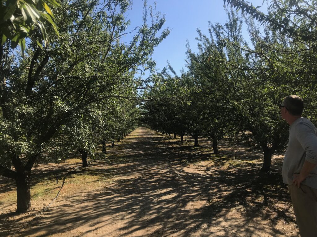 Gemperle Farms Uses Regenerative Practices to Improve Soil Health