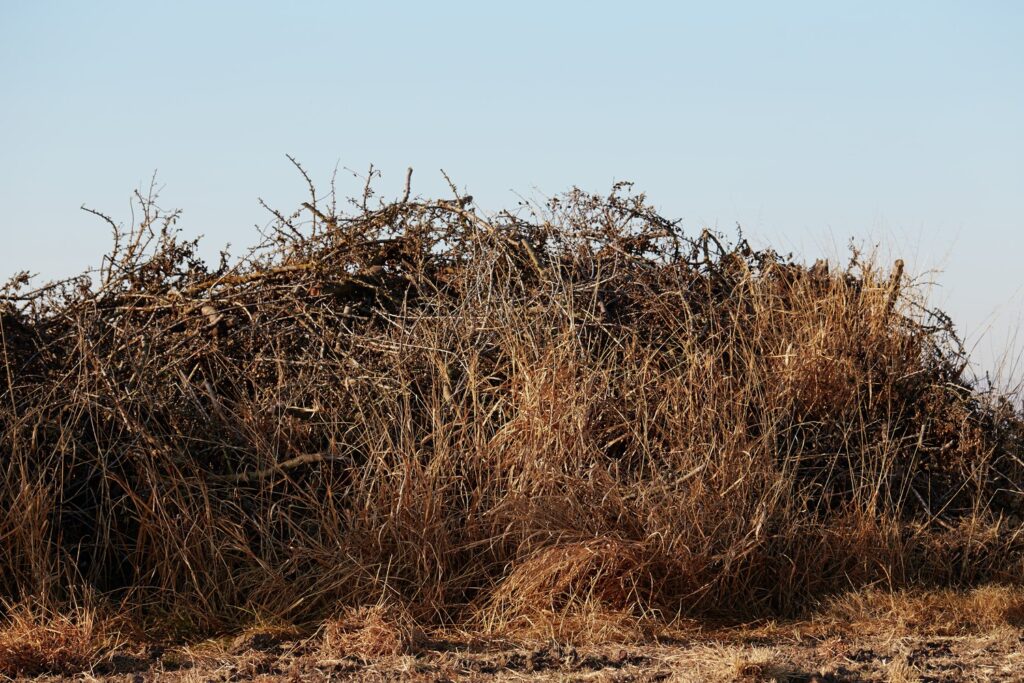 The End of Ag Burning in the San Joaquin Valley