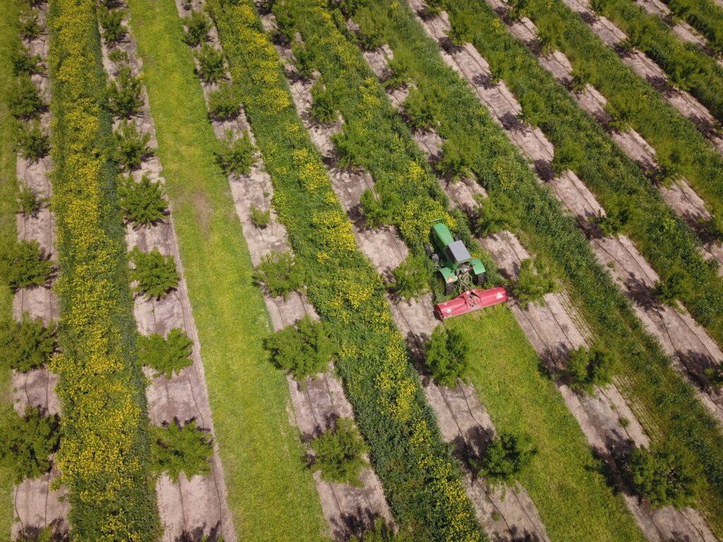 New Cover Crop Best Management Practices Provide Answers