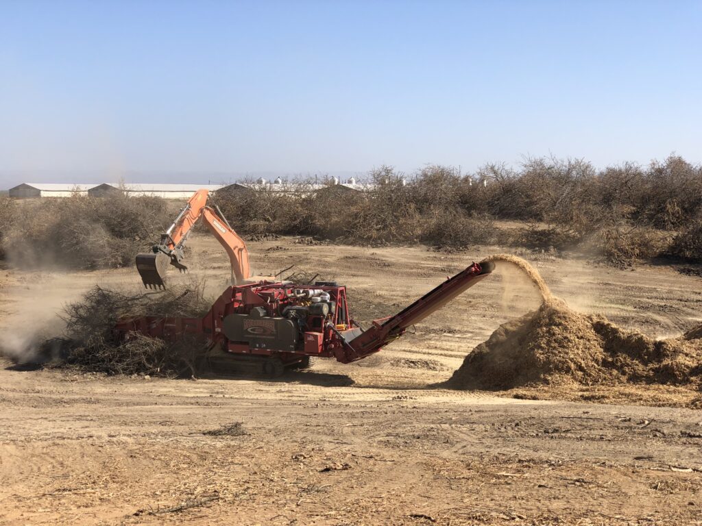 Balancing Nutrient Needs after Whole Orchard Recycling