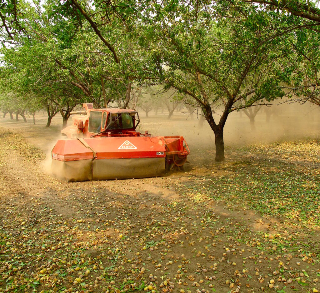 Despite Drought, Early No. Cal Almond Harvest Shows Good Quality and Production