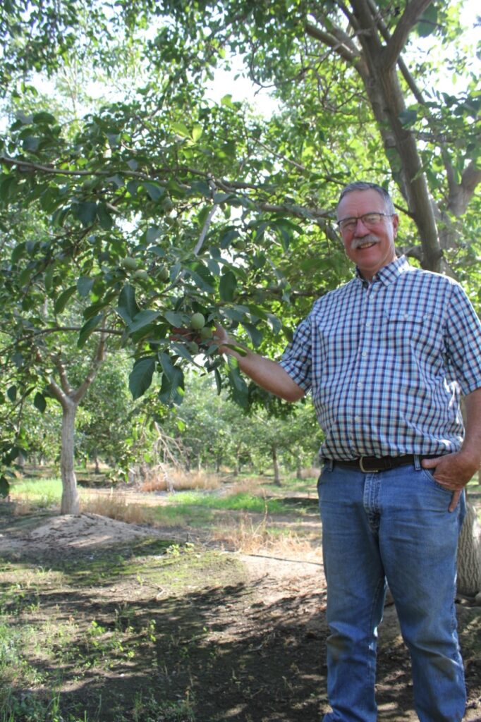 5 Things on a Walnut Grower’s Mind in September